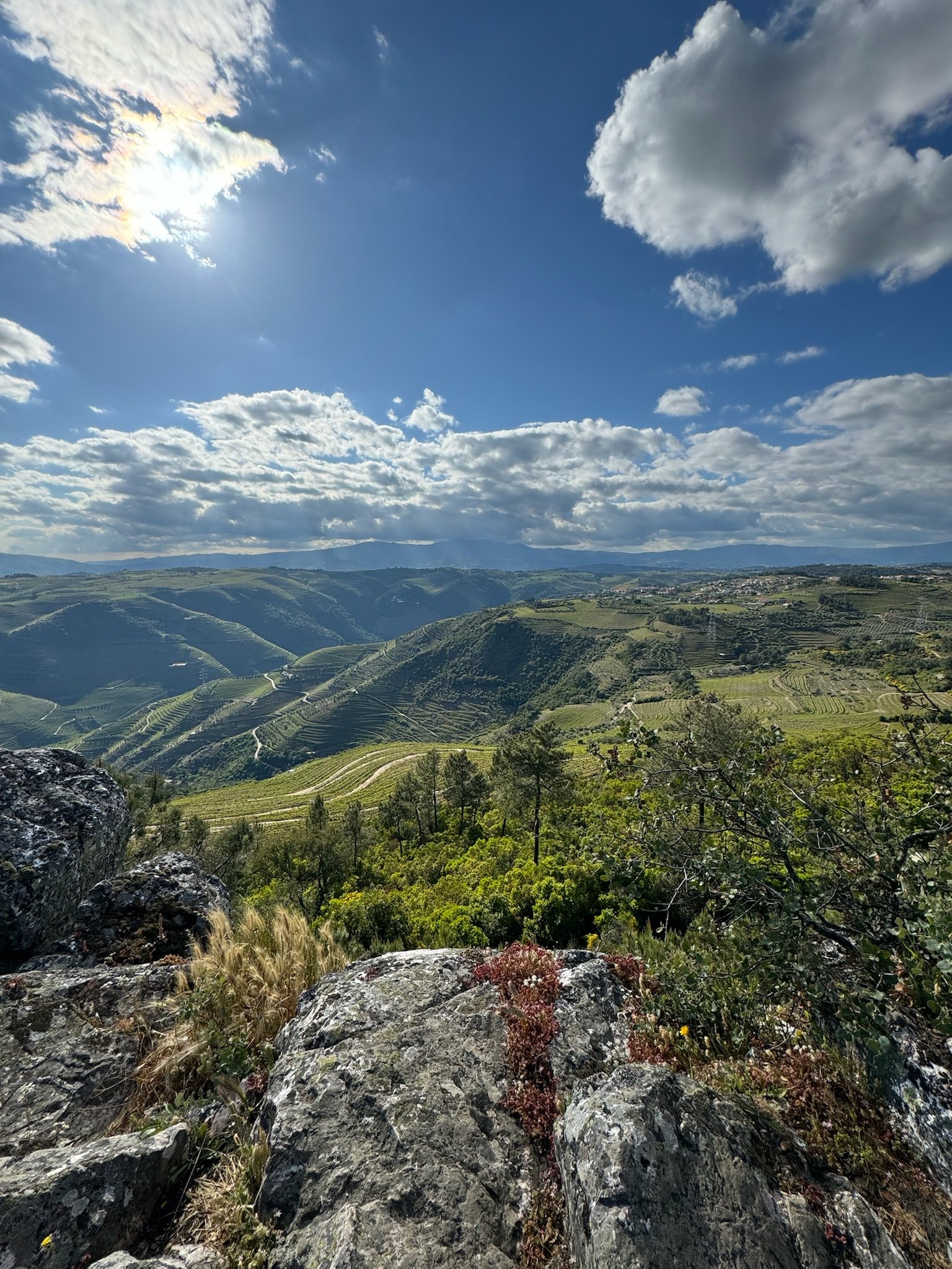 Douro Valley Delight