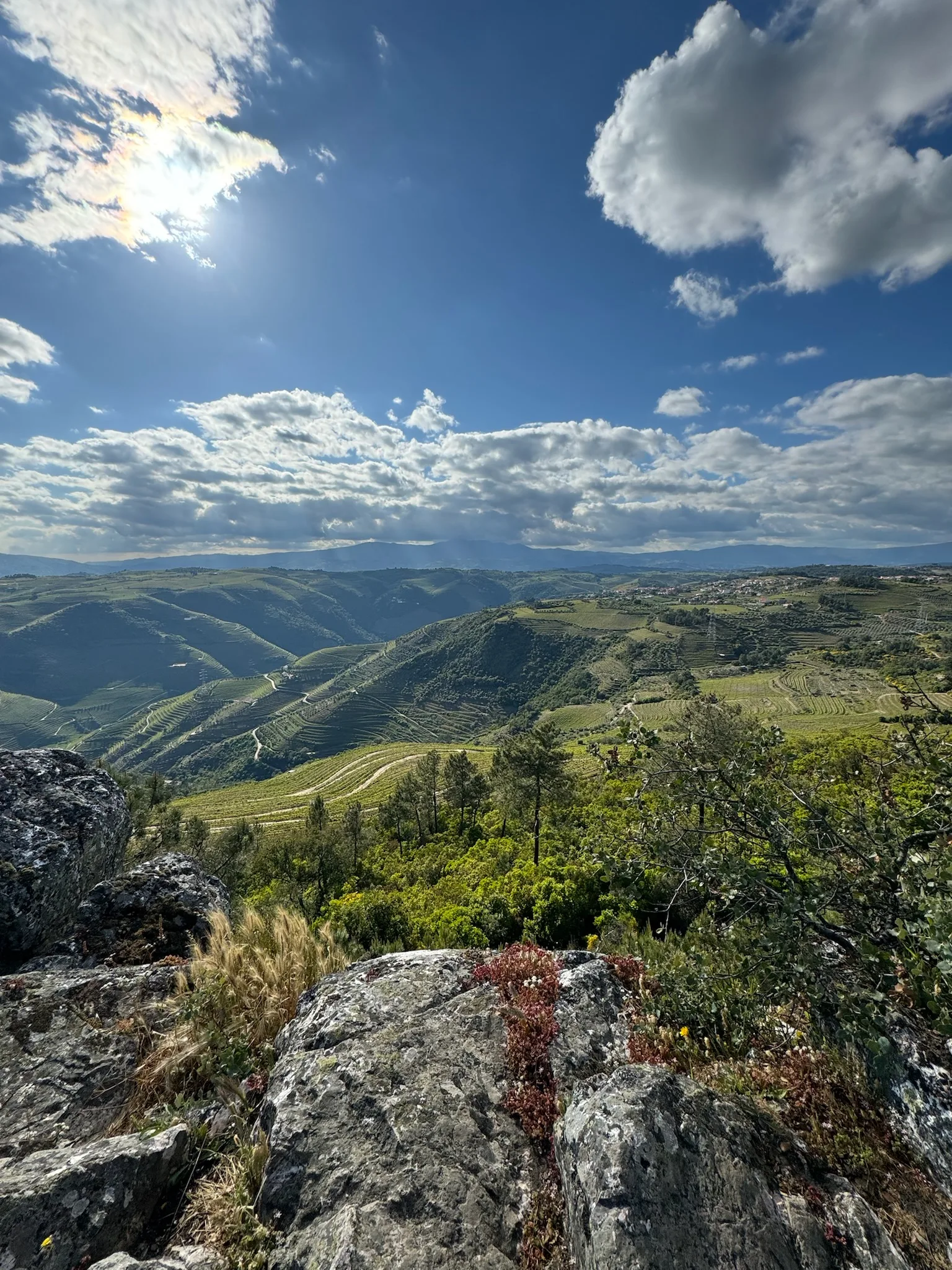 Douro Valley Delight