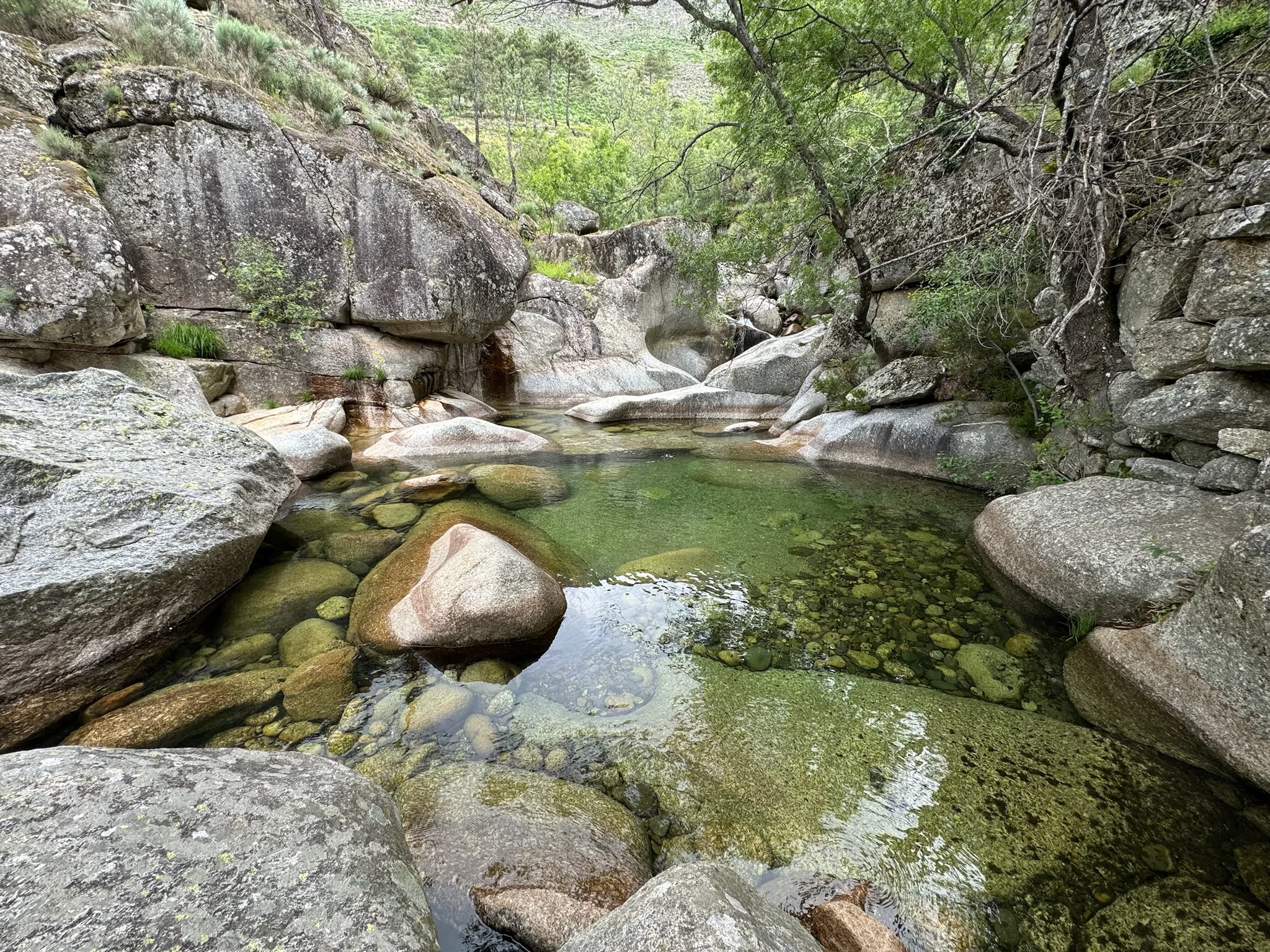 Green Pools & Spa