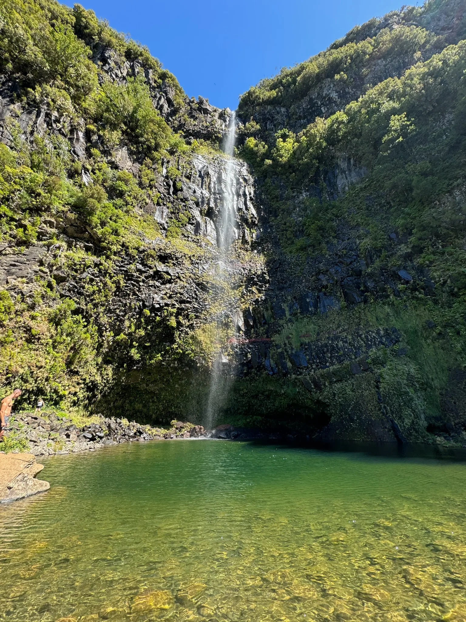 Waterfalls, Cows, and Bliss!