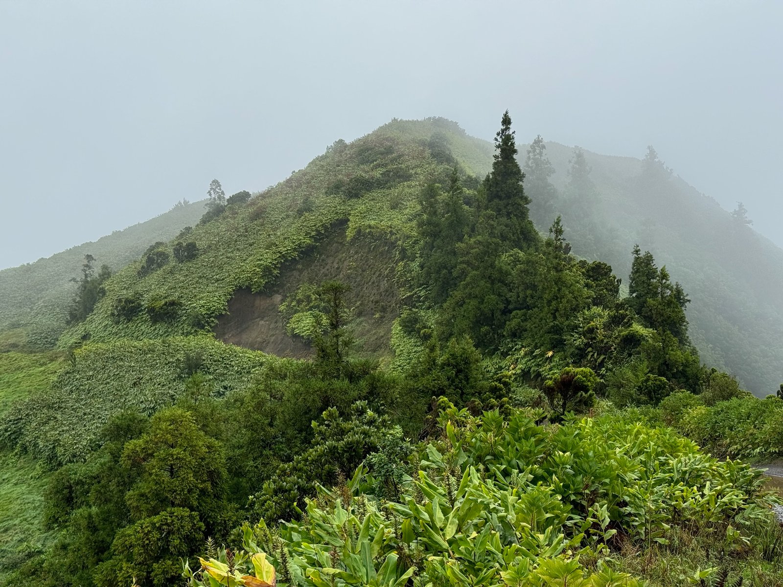 Lomba do Vasco & Cumeeiras Viewpoint
