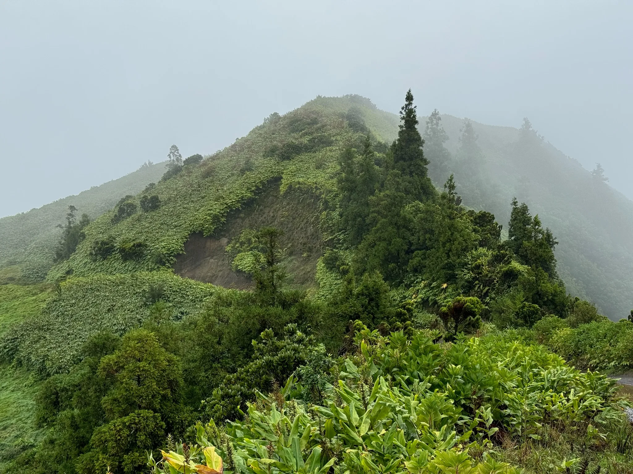 Lomba do Vasco & Cumeeiras Viewpoint