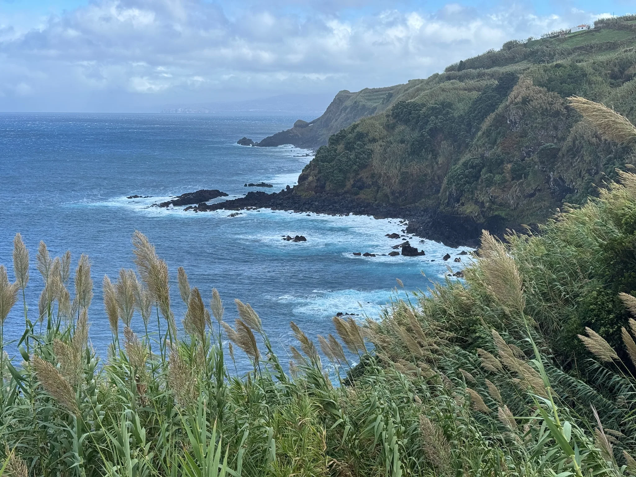West with Wind